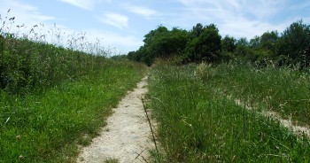 Chemin rural
