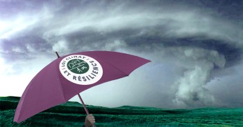 Loi climat et résilience