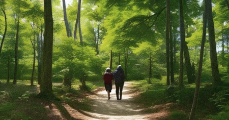 Chemin rural